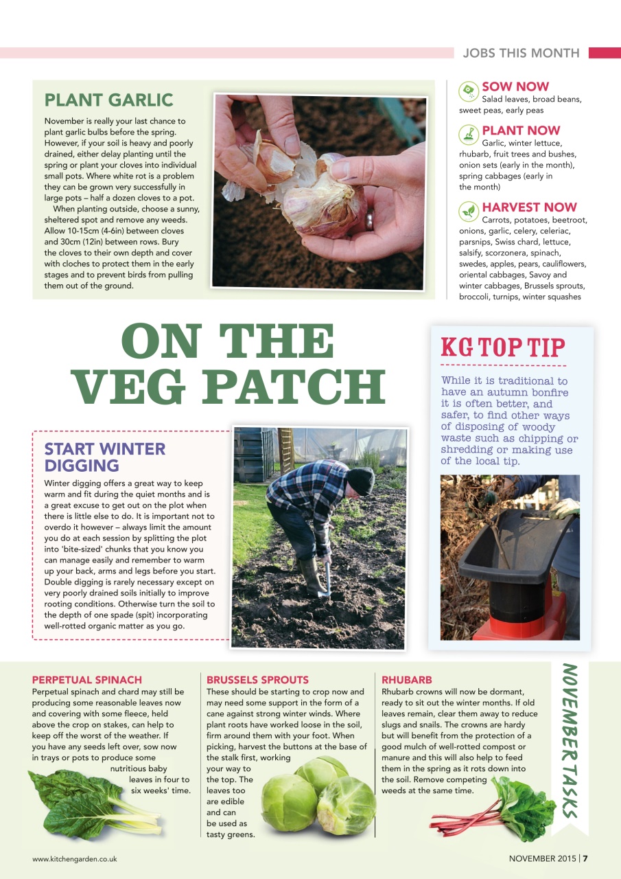 Kitchen Garden Magazine Preview Pages