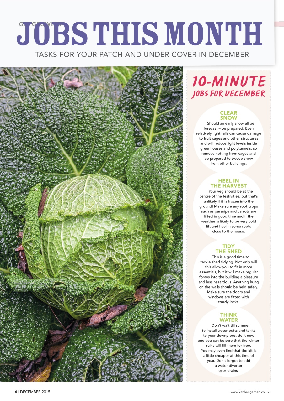 Kitchen Garden Magazine Preview Pages