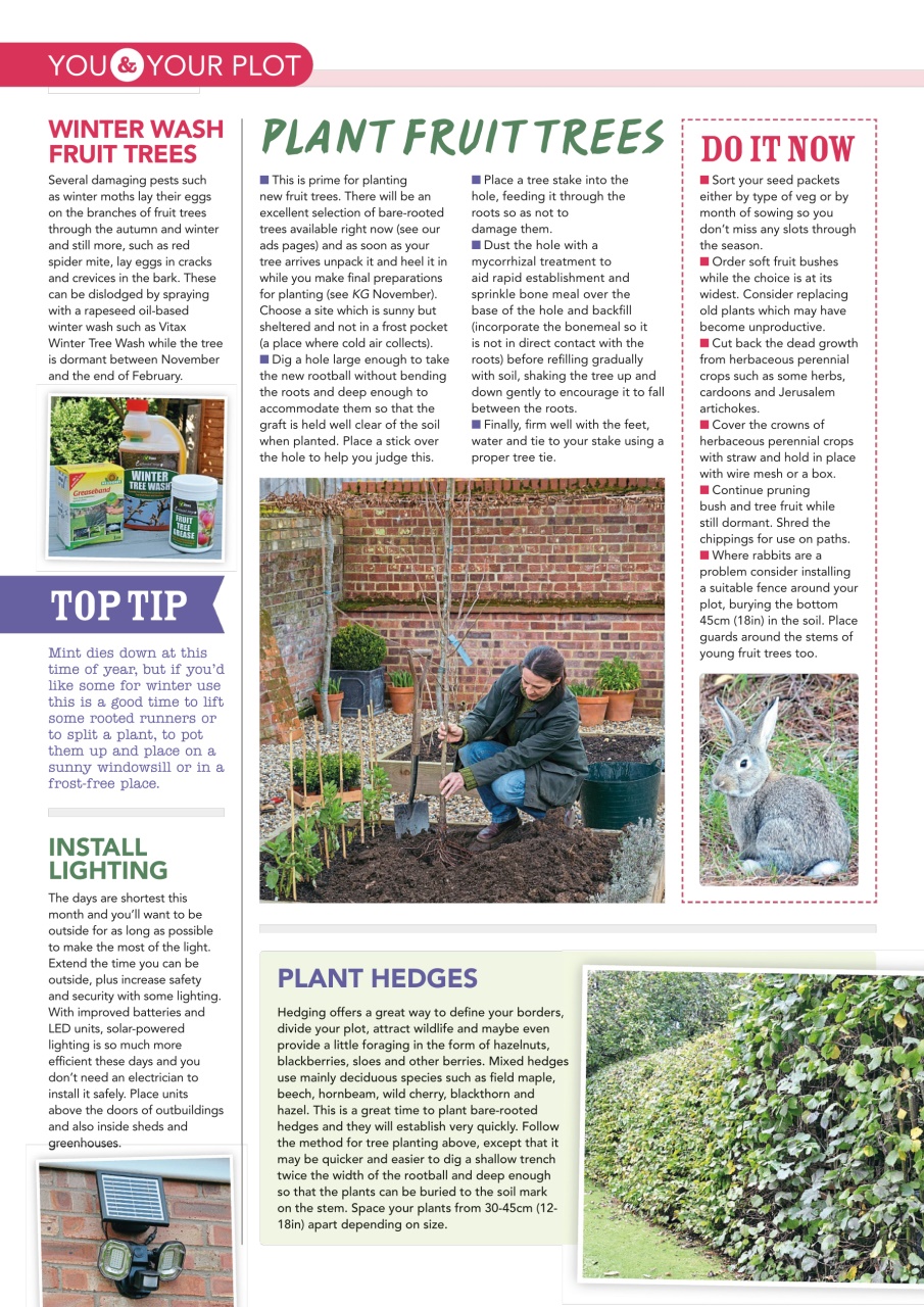 Kitchen Garden Magazine Preview Pages