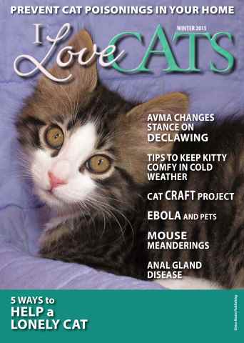 Winter 2014 issue Winter 2014
