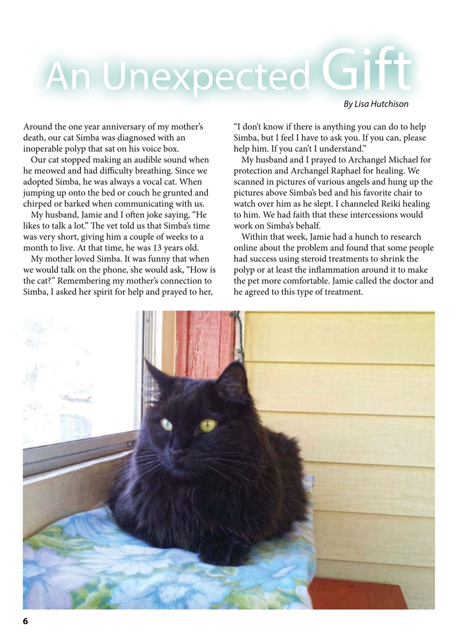 I Love Cats Preview Pages