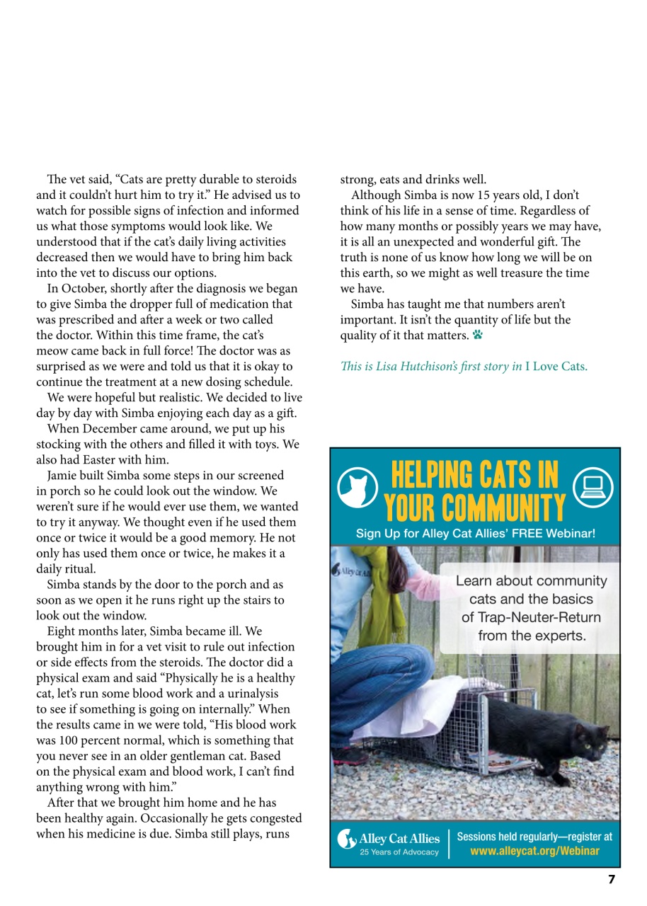 I Love Cats Preview Pages