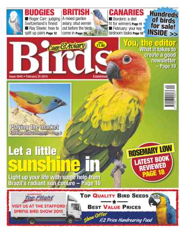 Cage & Aviary Birds issue No.5843 Let a Little Sunshine in