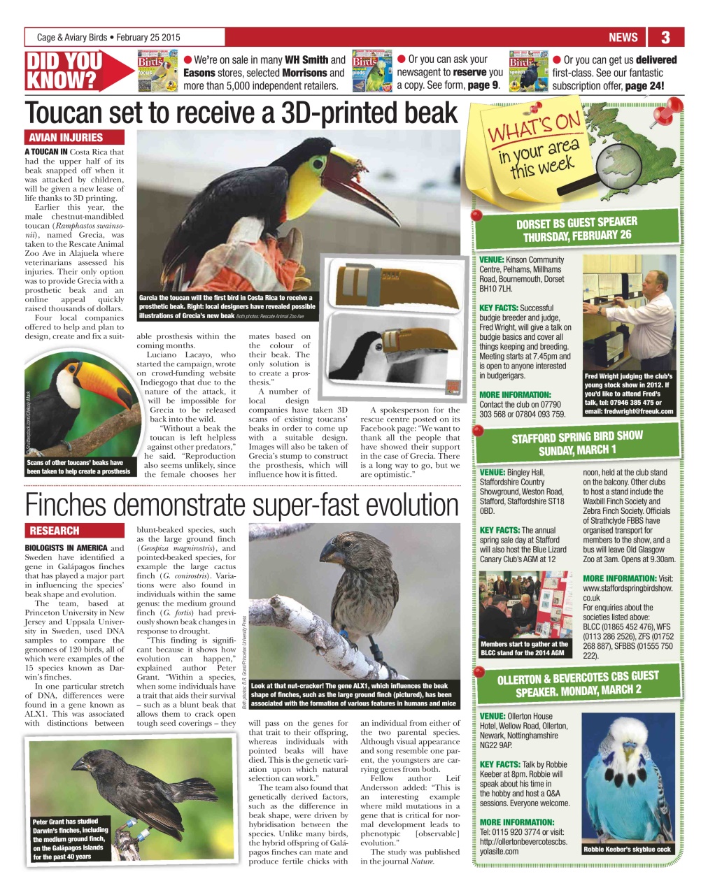 Cage & Aviary Birds Preview Pages