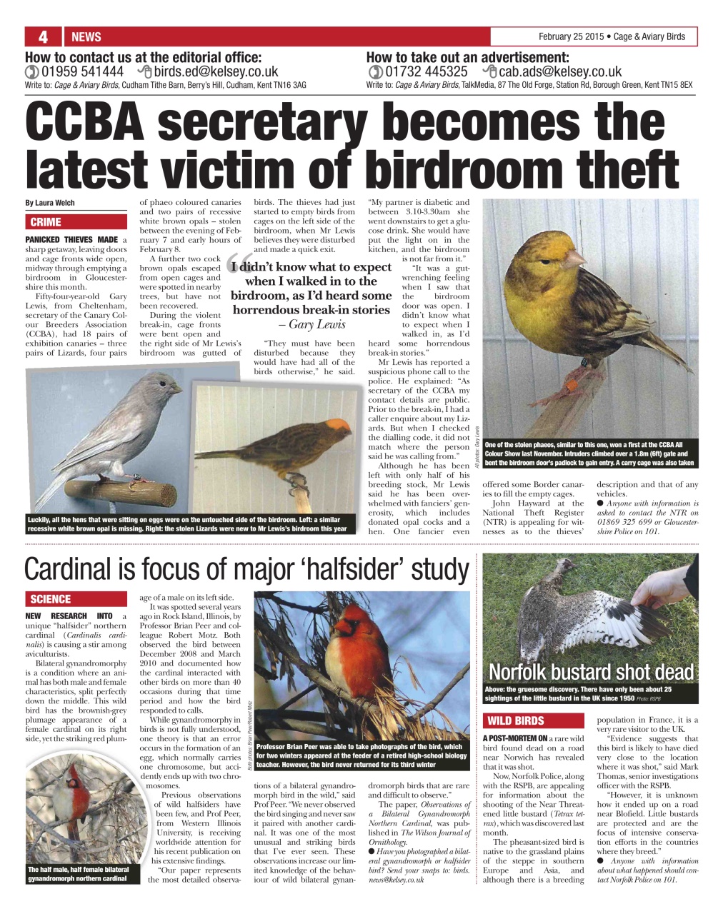 Cage & Aviary Birds Preview Pages