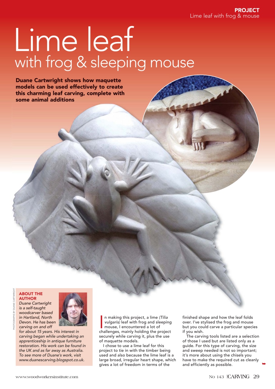 Woodcarving Preview Pages