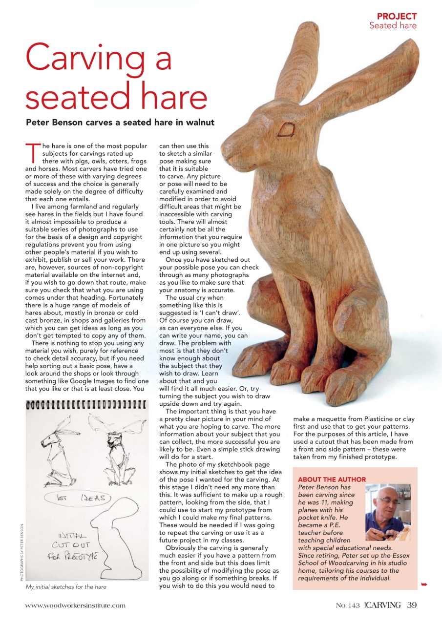 Woodcarving Preview Pages