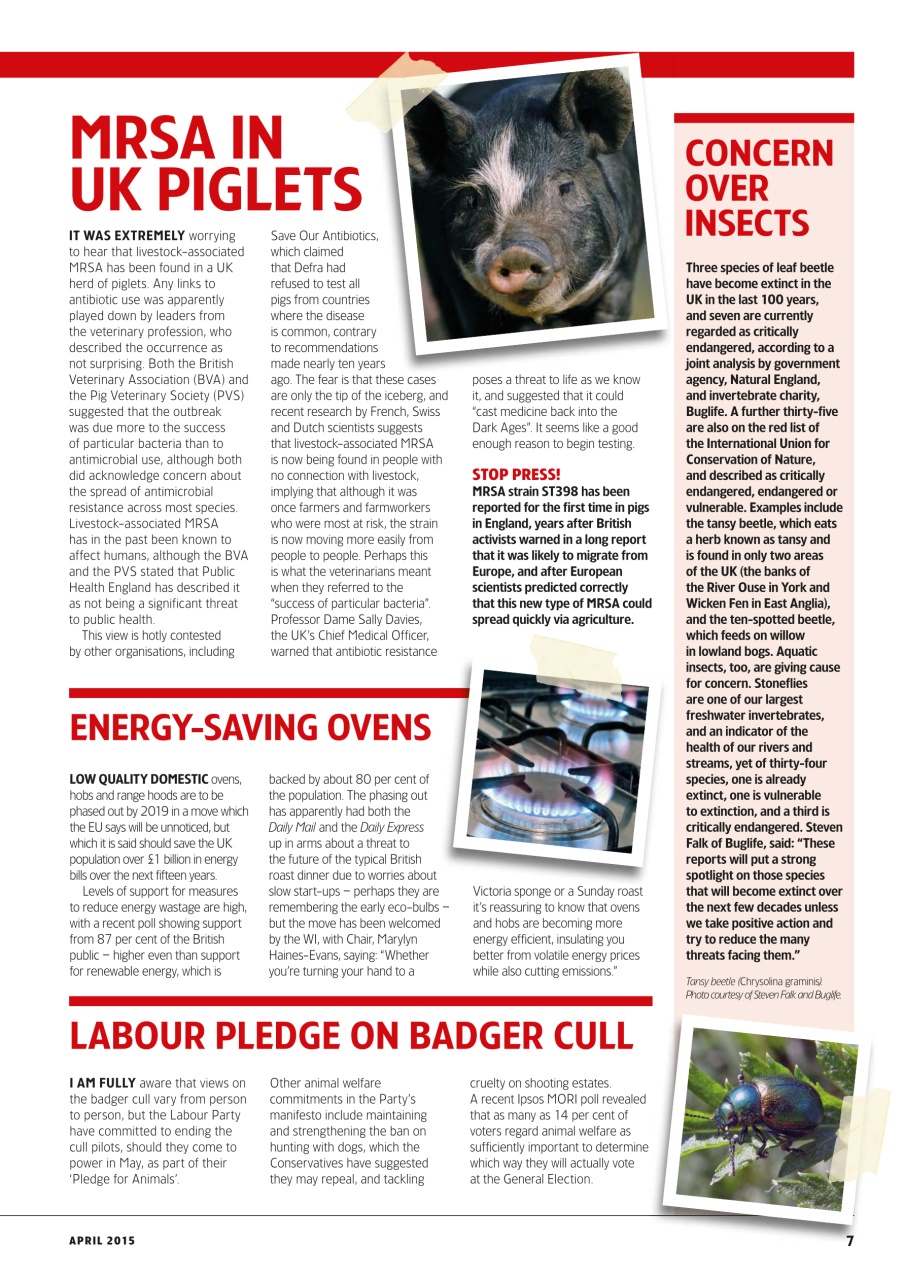 Home Farmer Magazine Preview Pages