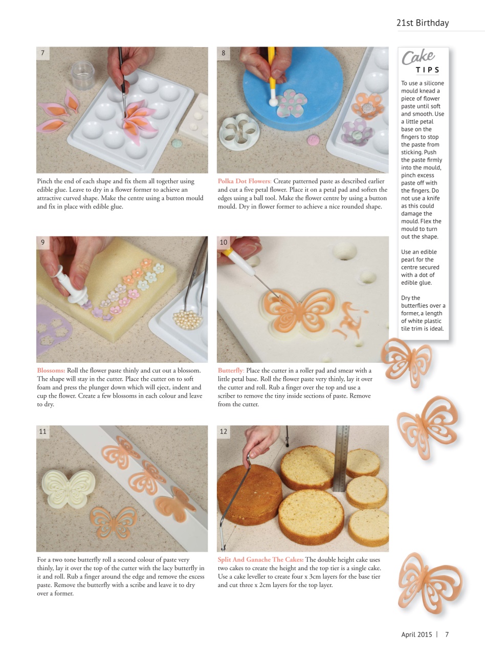 Cake Decoration & Sugarcraft Magazine Preview Pages