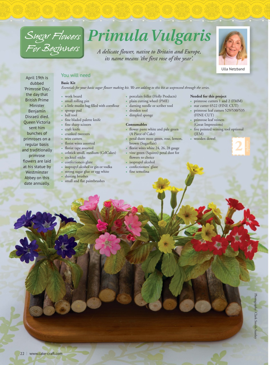 Cake Decoration & Sugarcraft Magazine Preview Pages