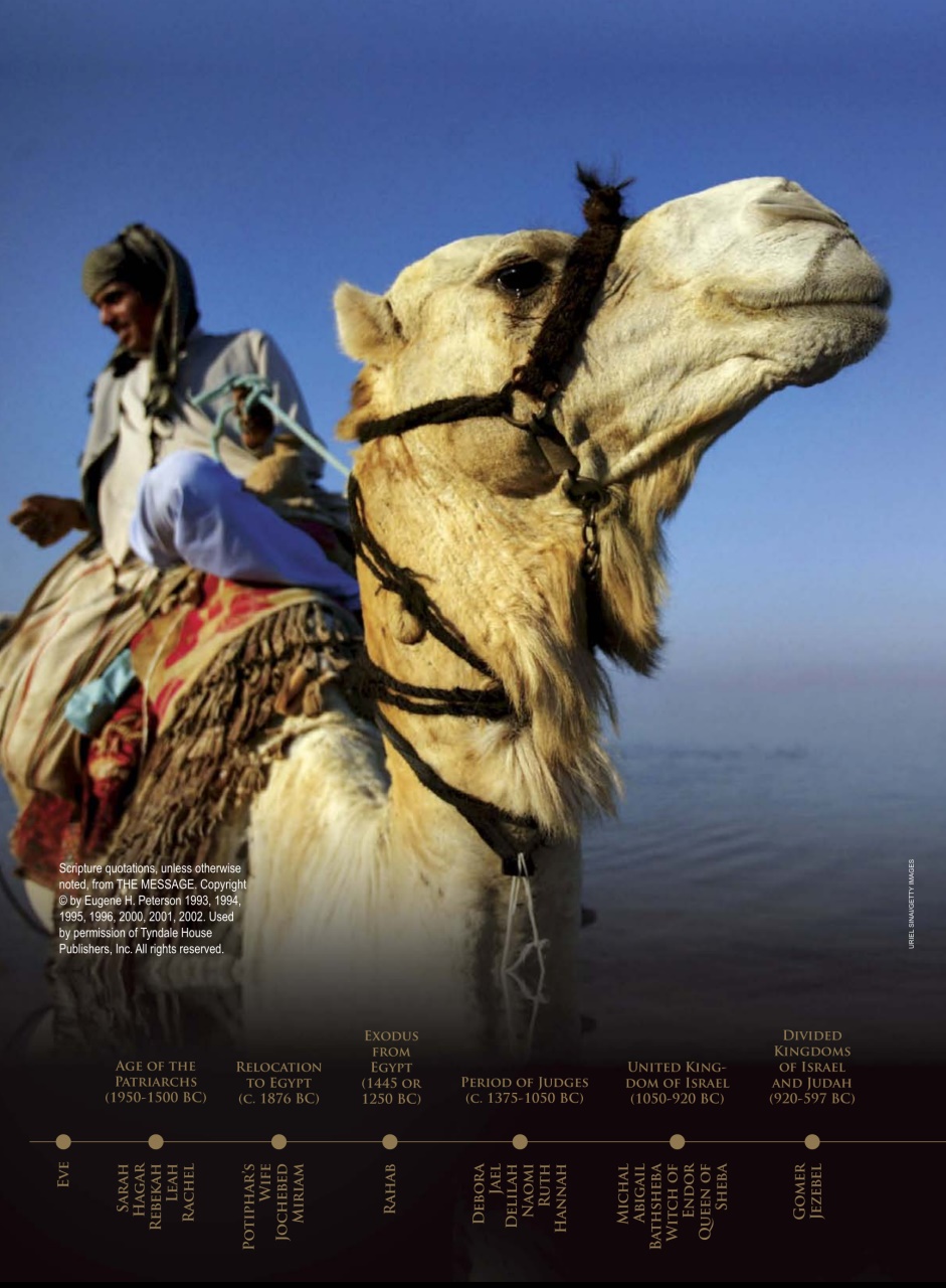 Engaged Explorer Preview Pages