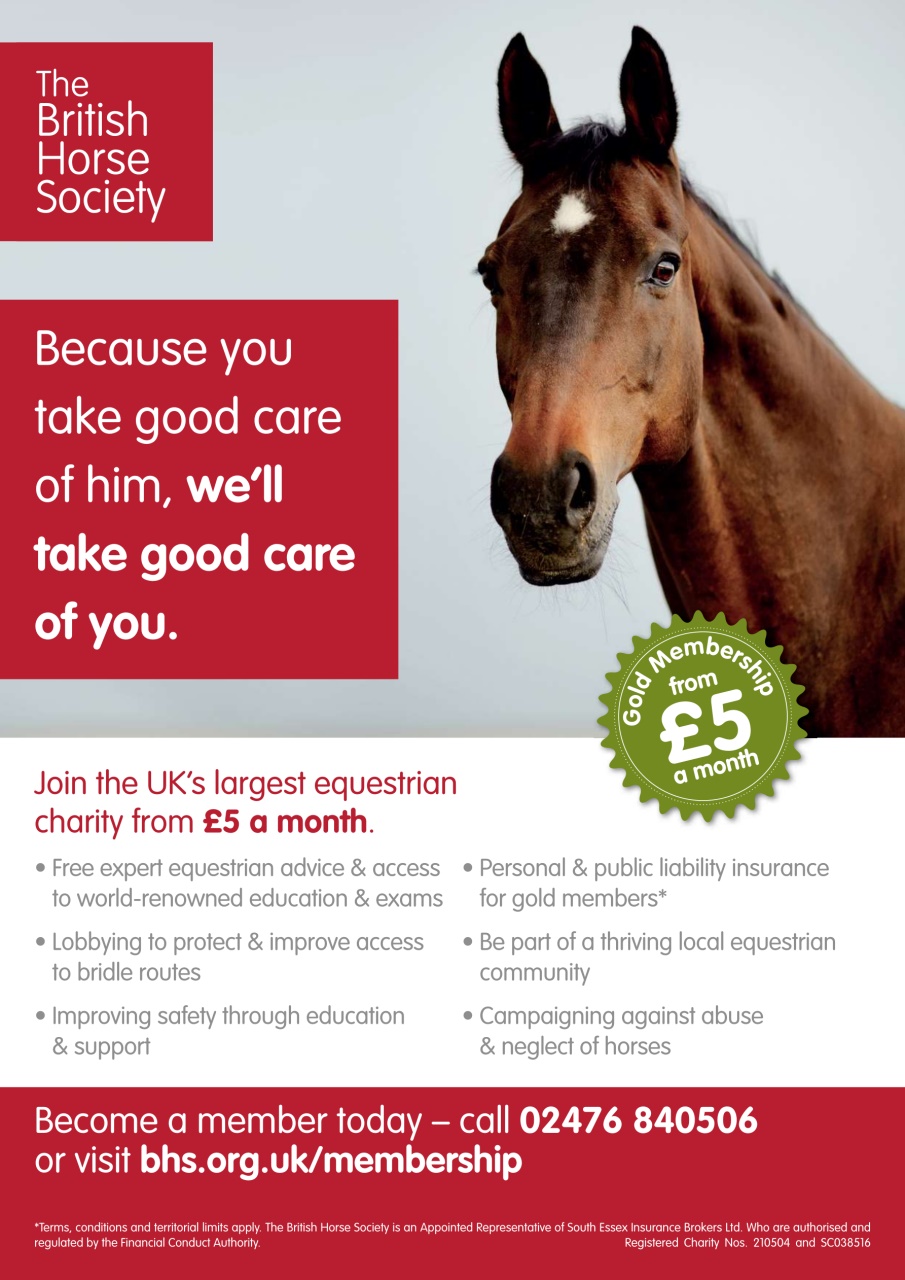 Your Horse Preview Pages