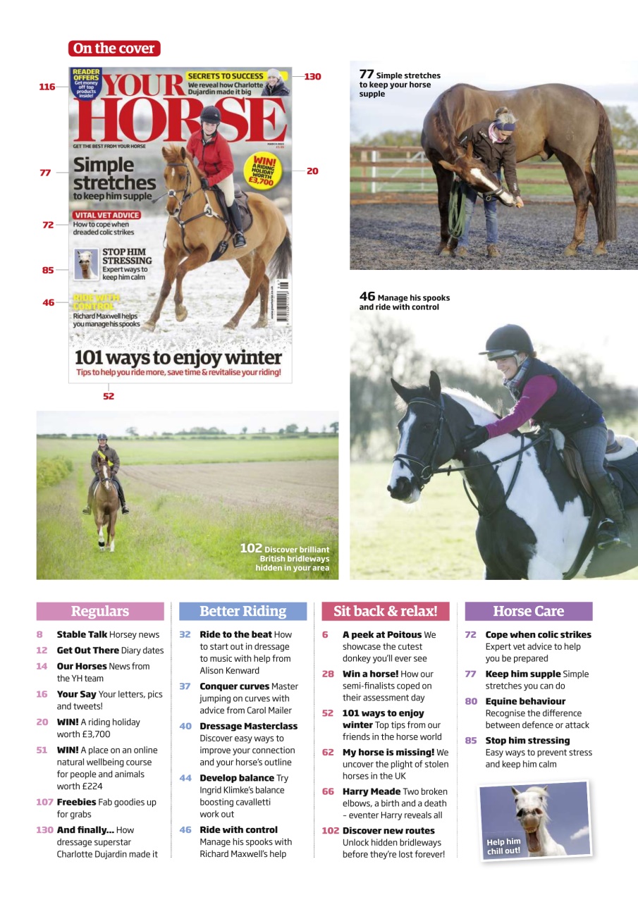Your Horse Preview Pages
