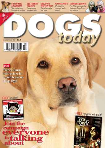 Dogs Today Magazine issue September 2011