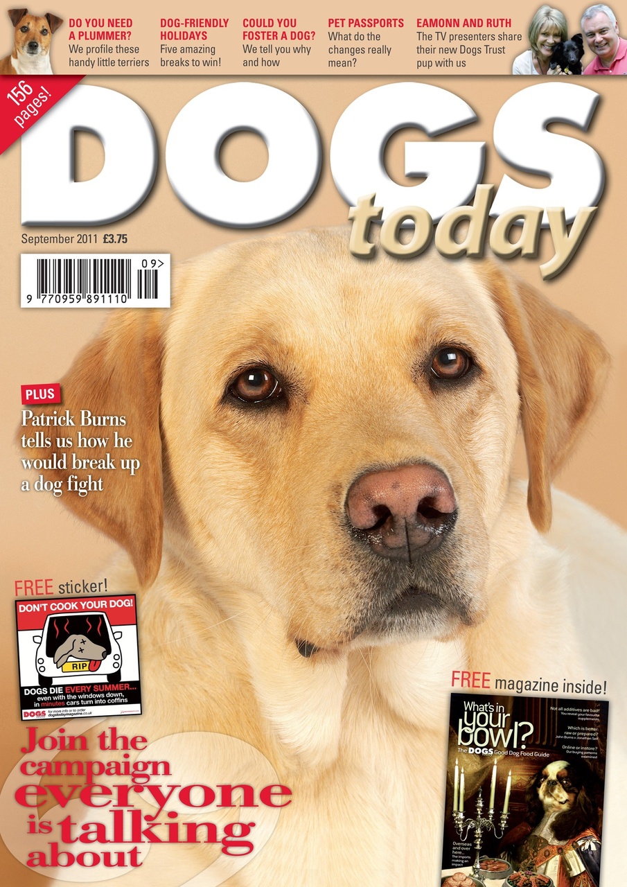 Dogs Today Magazine Preview Pages