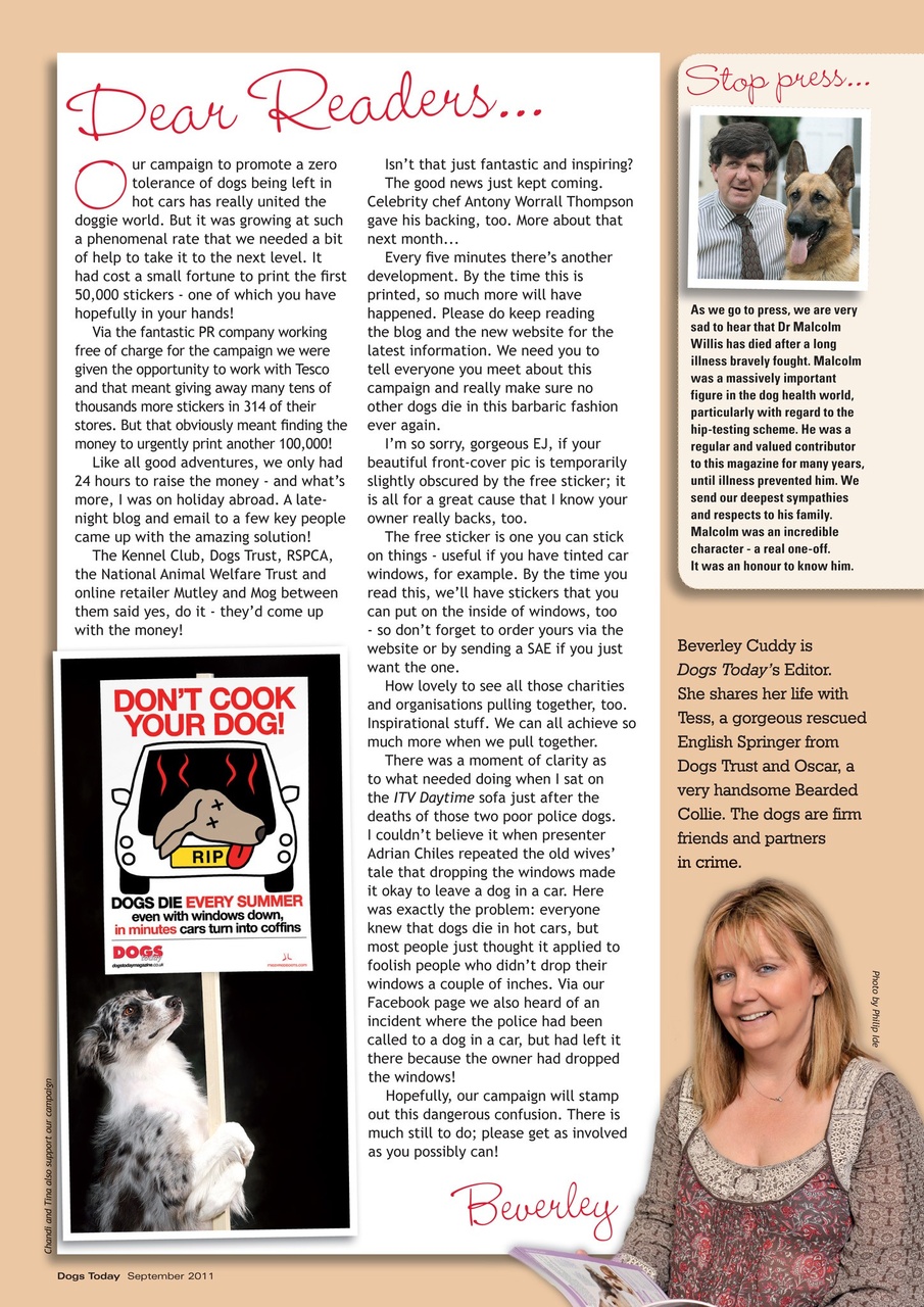 Dogs Today Magazine Preview Pages