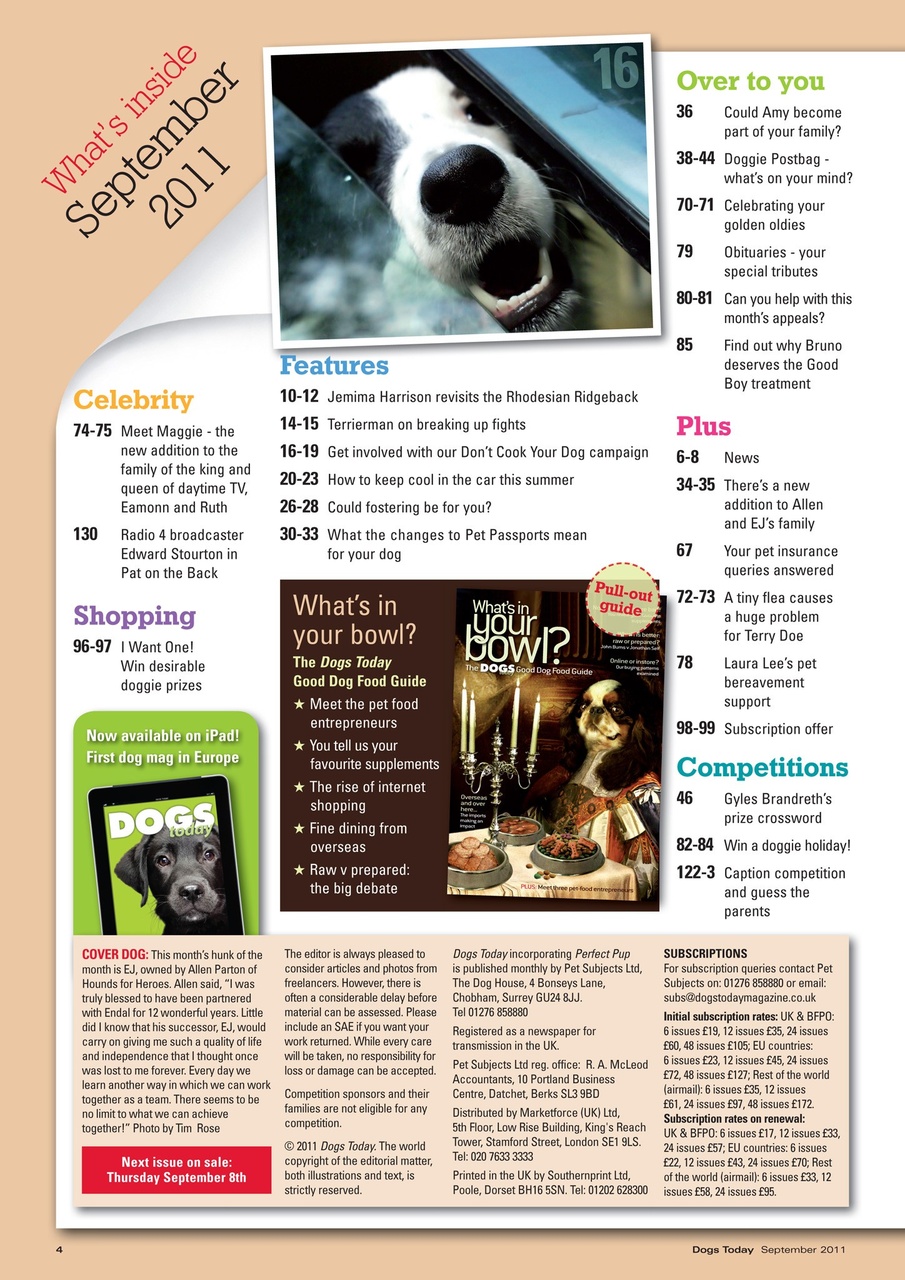 Dogs Today Magazine Preview Pages