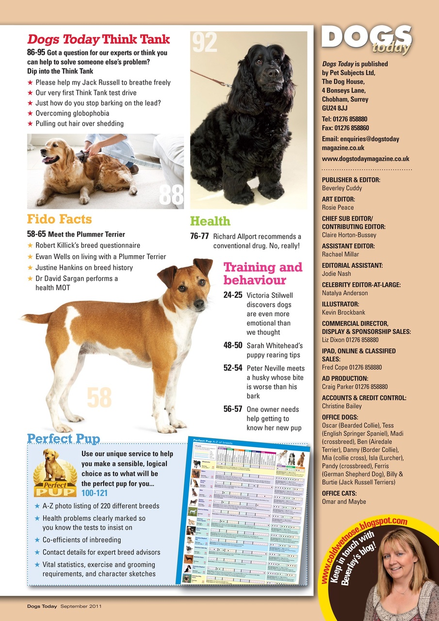 Dogs Today Magazine Preview Pages