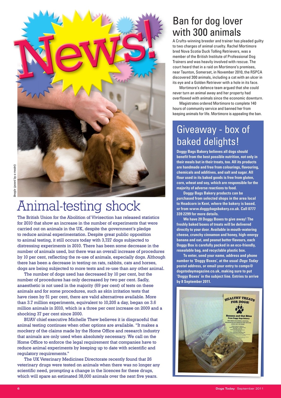 Dogs Today Magazine Preview Pages
