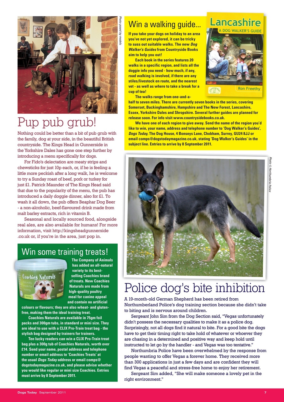 Dogs Today Magazine Preview Pages