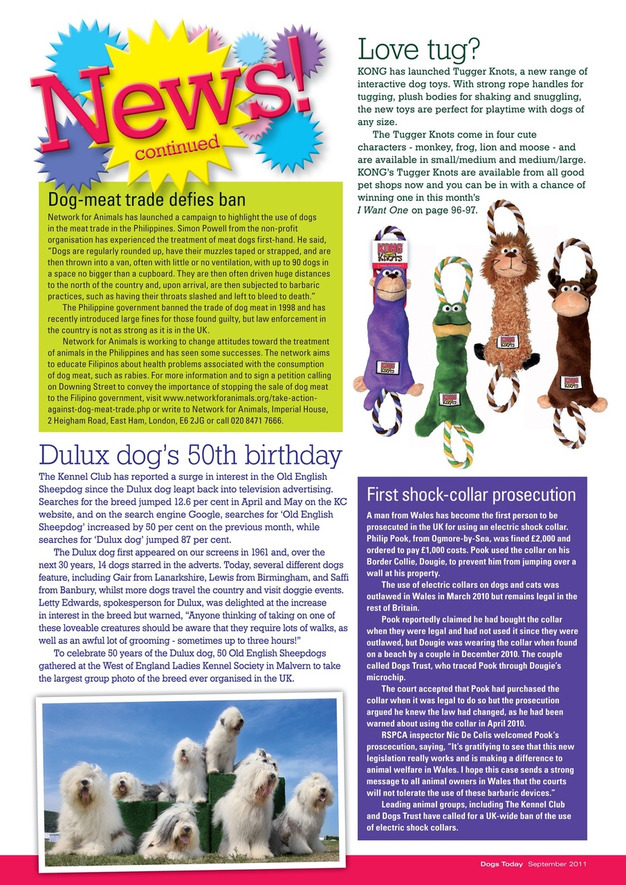 Dogs Today Magazine Preview Pages