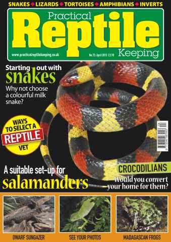 Practical Reptile Keeping issue No.73 A Suitable Set-Up for Salamanders