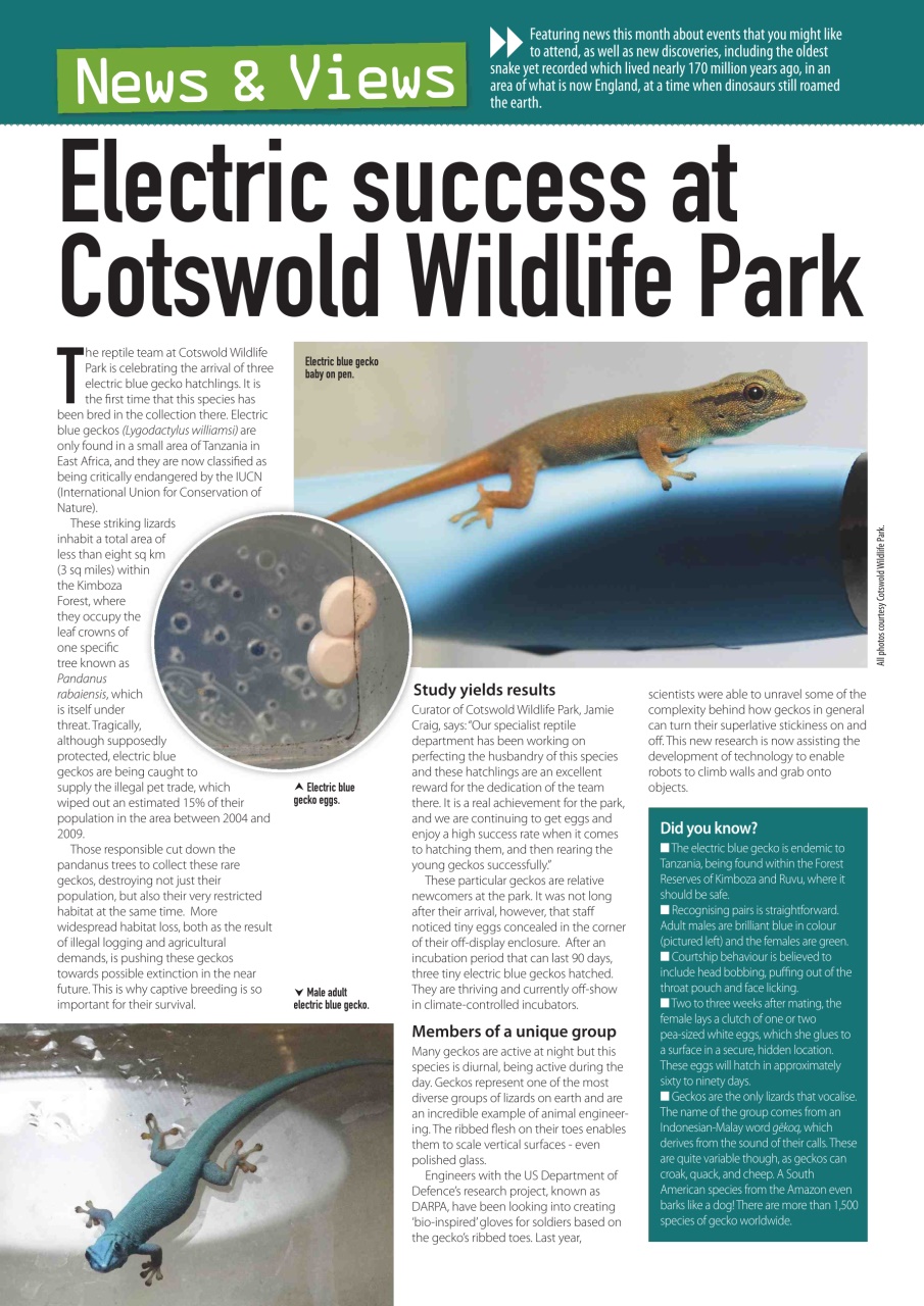 Practical Reptile Keeping Preview Pages