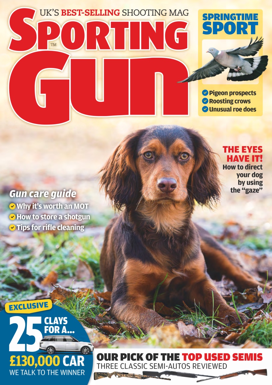 Sporting Gun Preview Pages