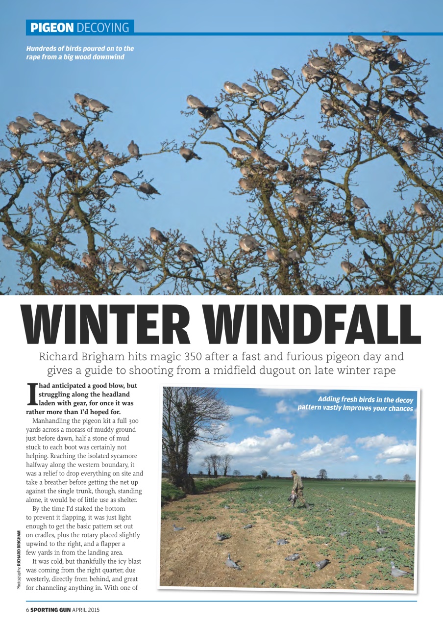 Sporting Gun Preview Pages