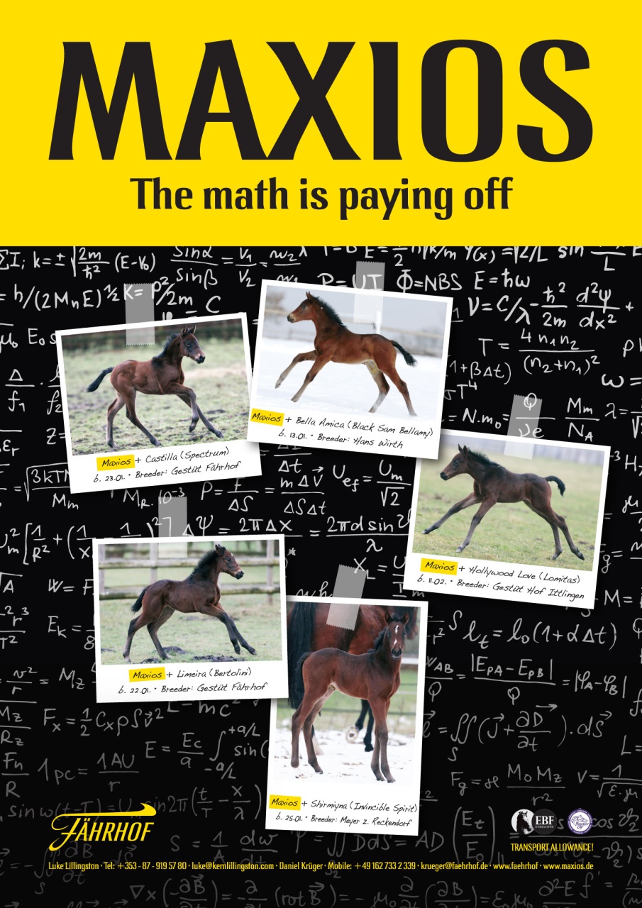 The Owner Breeder Preview Pages