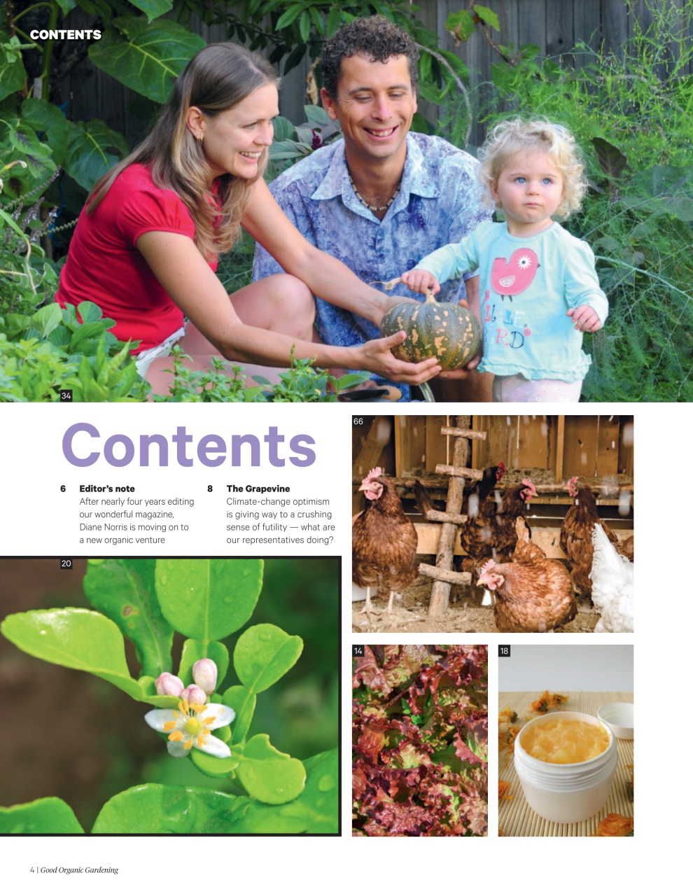 Good Organic Gardening Preview Pages