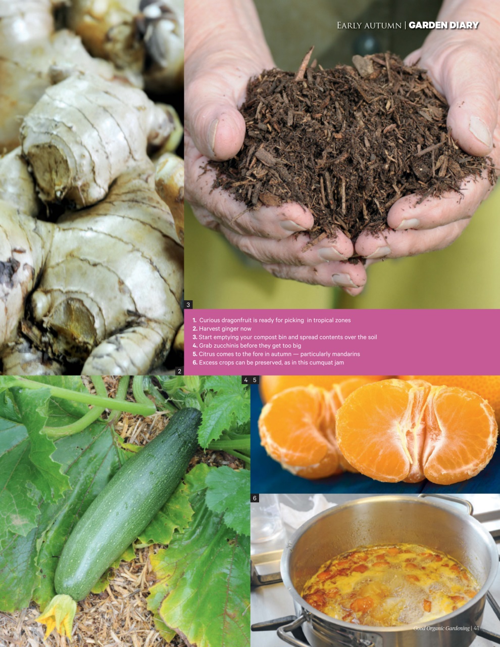 Good Organic Gardening Preview Pages