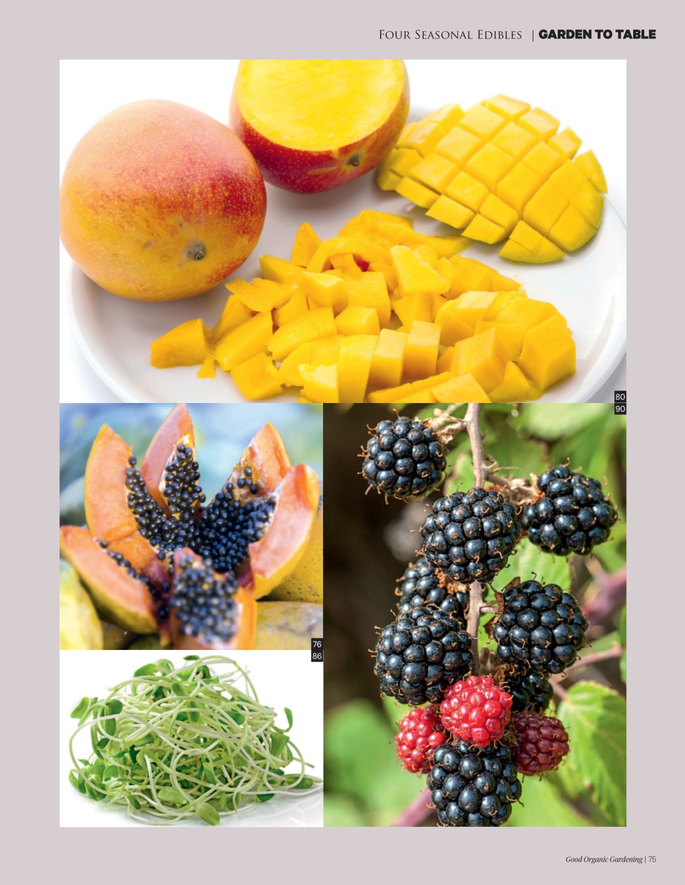 Good Organic Gardening Preview Pages