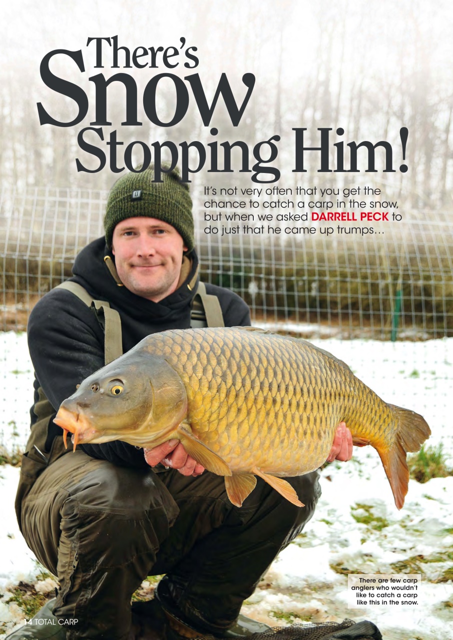 Total Carp Preview Pages