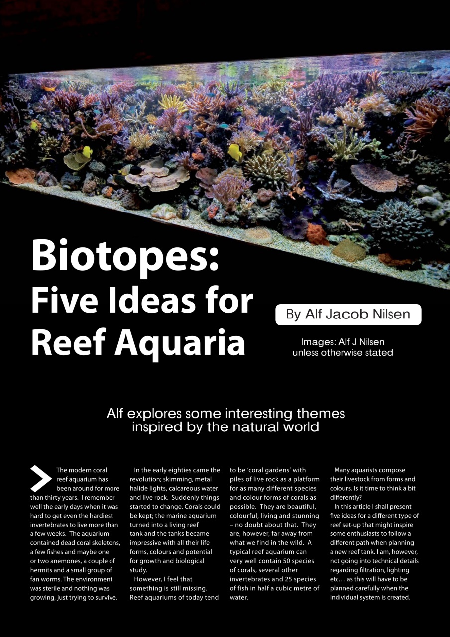 UltraMarine Magazine Preview Pages