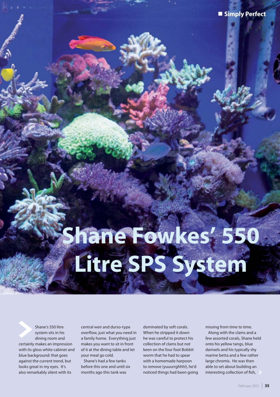 UltraMarine Magazine Preview Pages