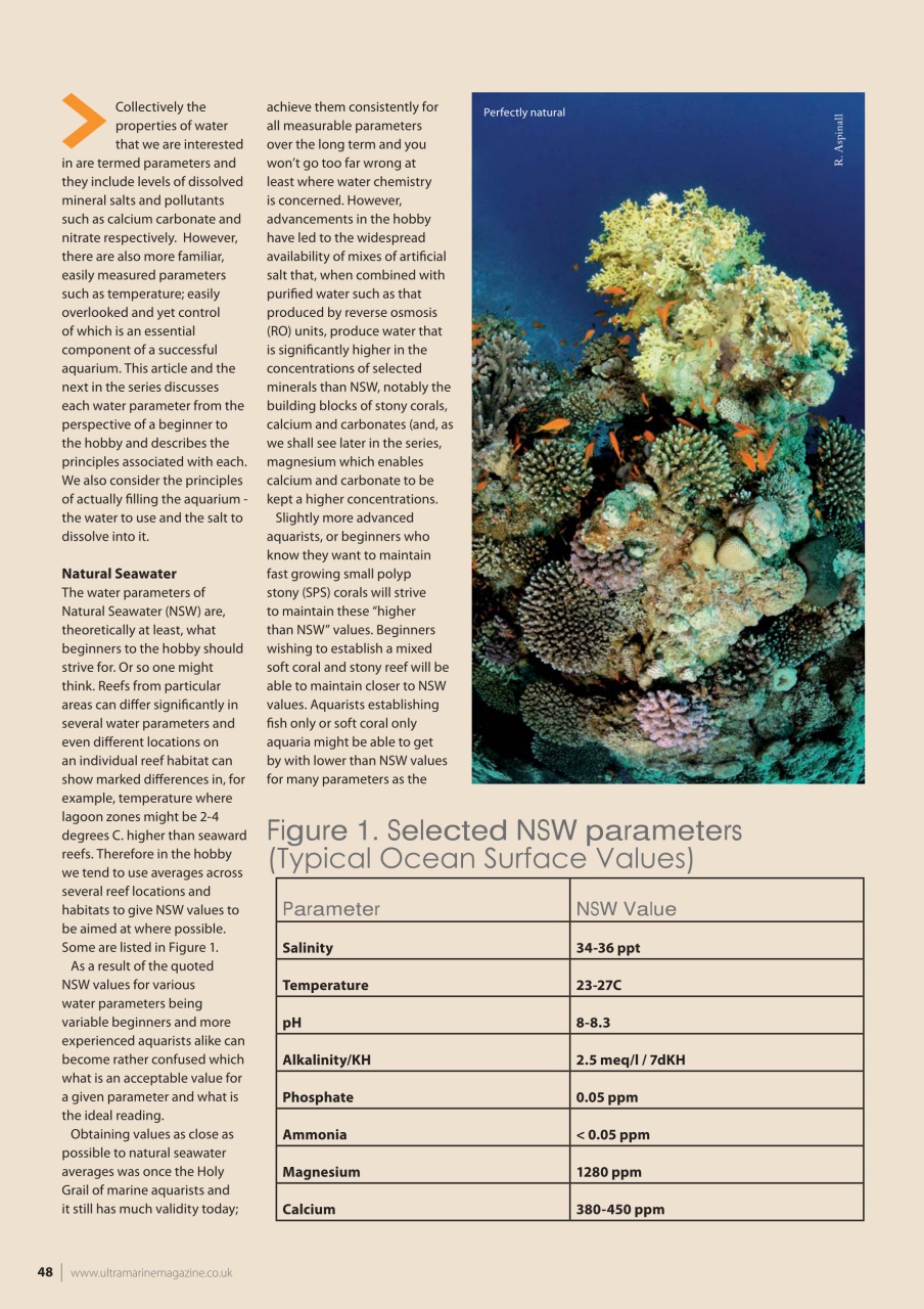 UltraMarine Magazine Preview Pages