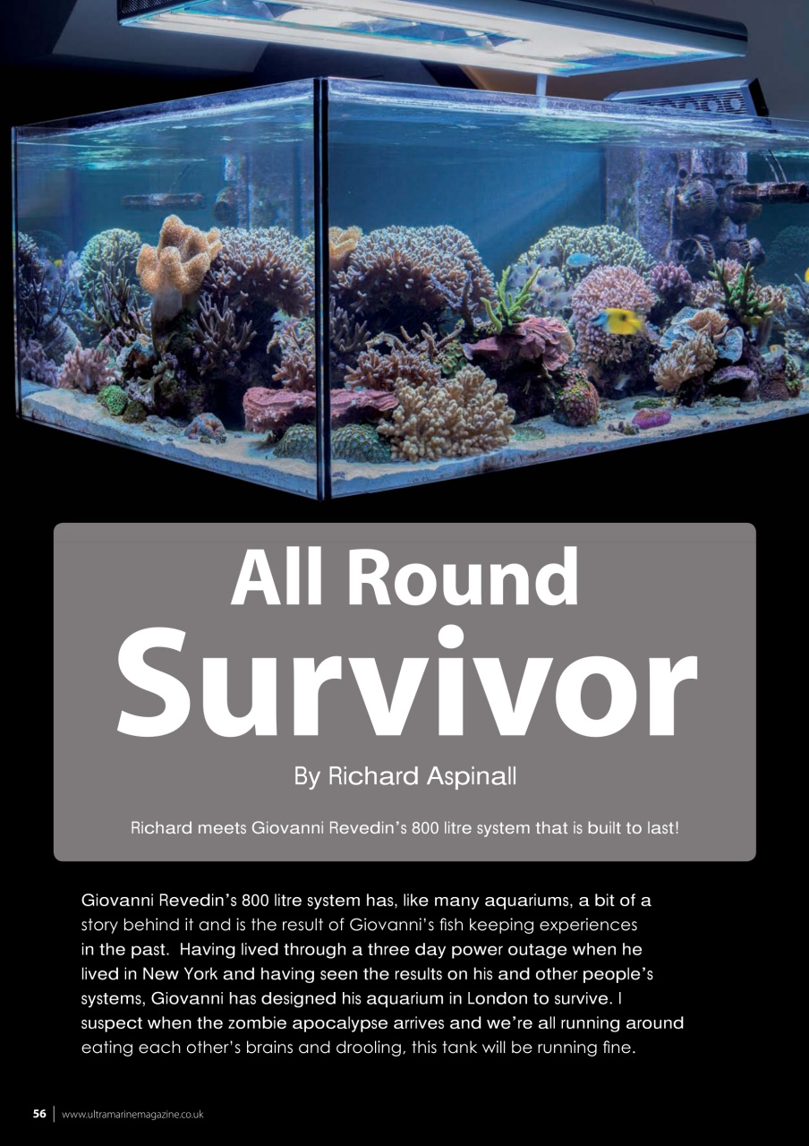 UltraMarine Magazine Preview Pages