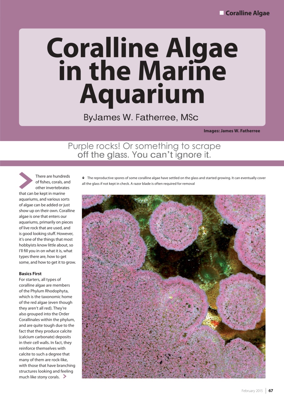 UltraMarine Magazine Preview Pages