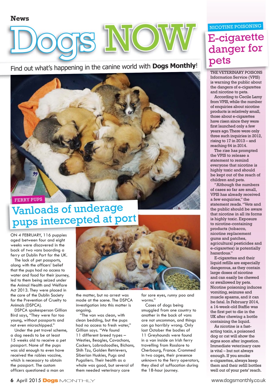 Dogs Monthly Preview Pages