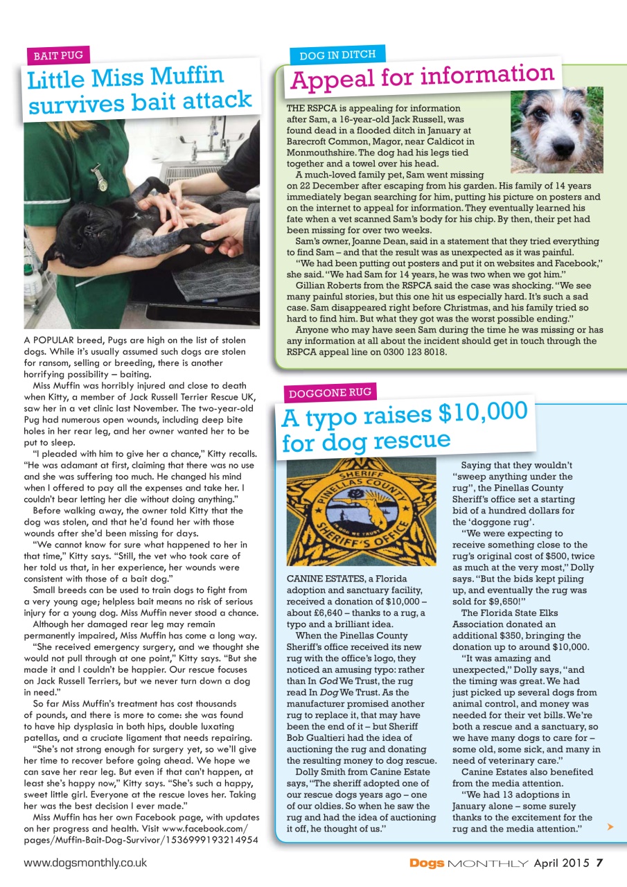 Dogs Monthly Preview Pages