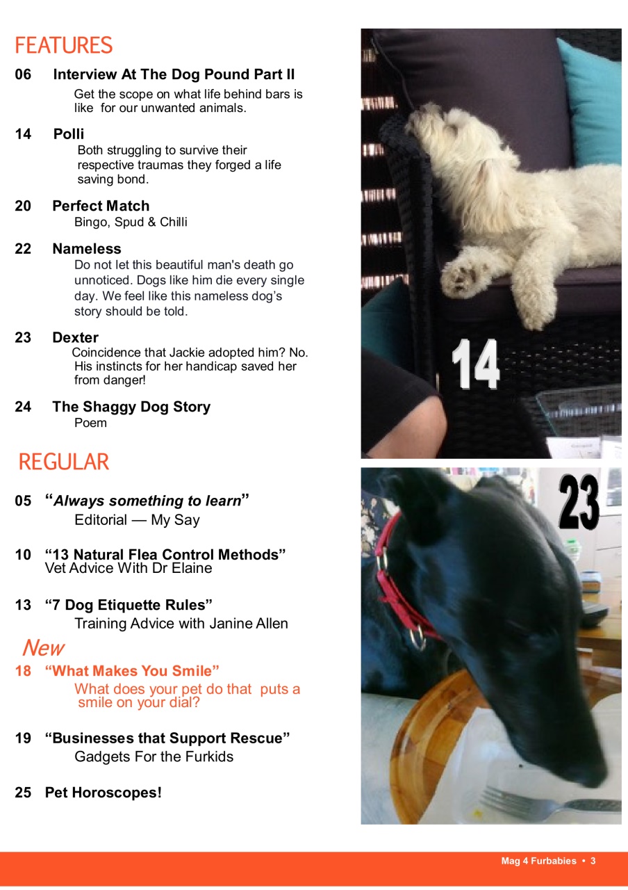 Mag 4 Furbabies Preview Pages