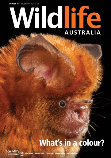 Wildlife Australia issue 