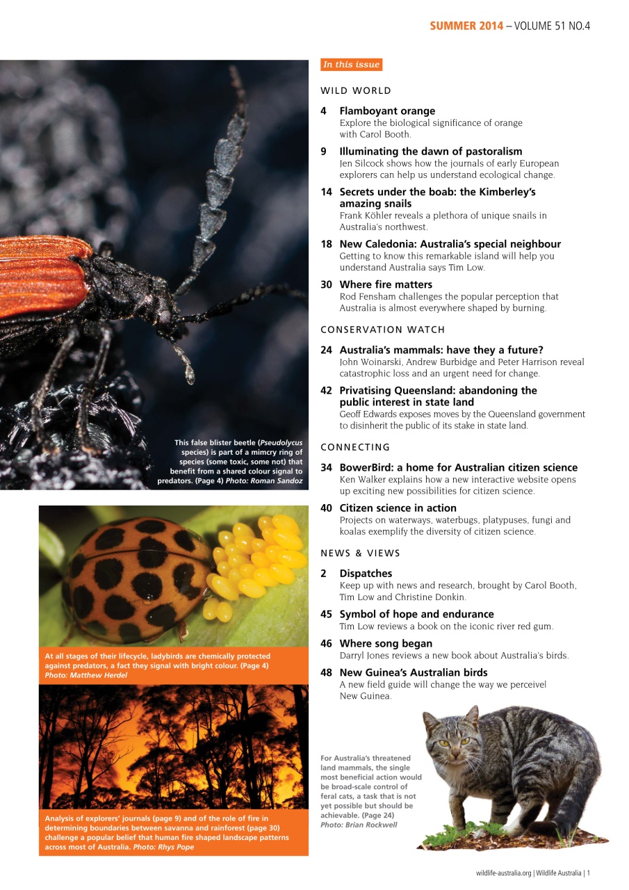 Wildlife Australia Preview Pages