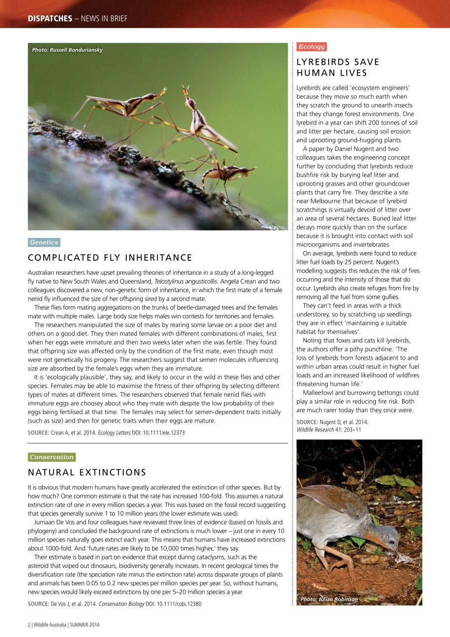 Wildlife Australia Preview Pages