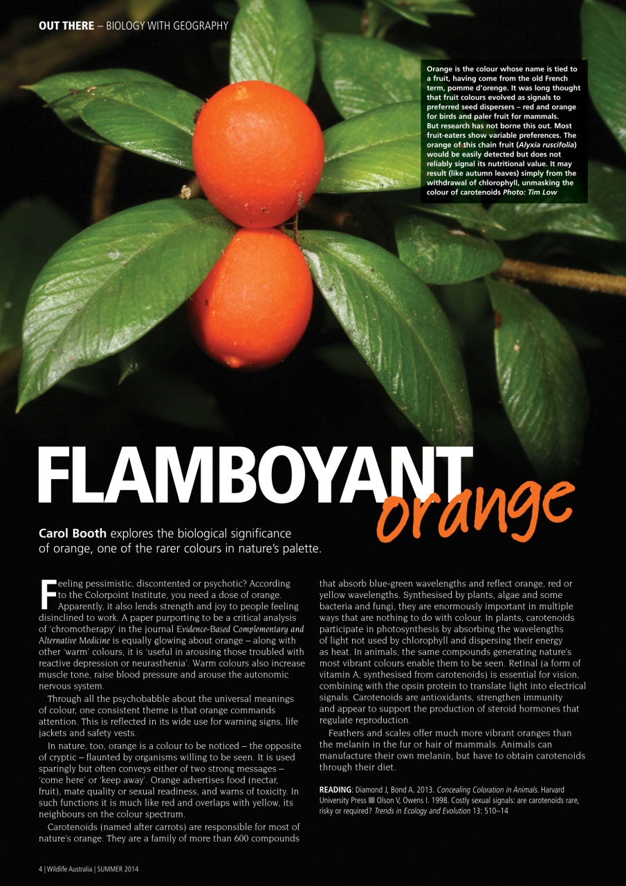 Wildlife Australia Preview Pages