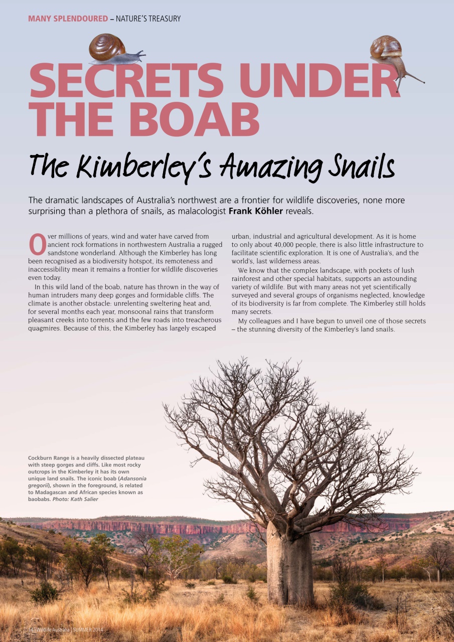 Wildlife Australia Preview Pages