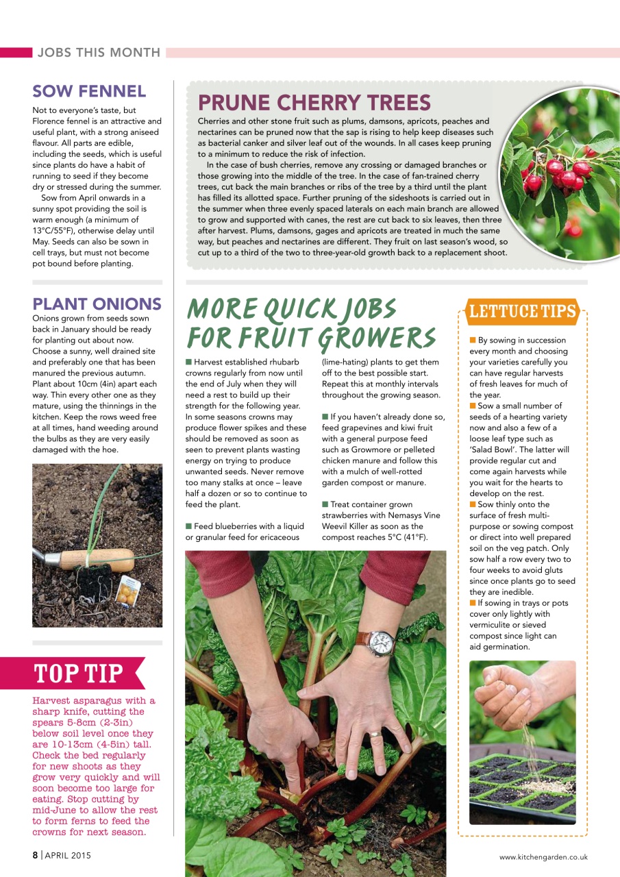 Kitchen Garden Magazine Preview Pages