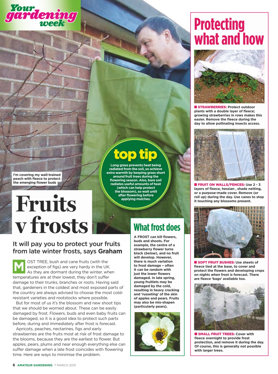 Amateur Gardening Preview Pages