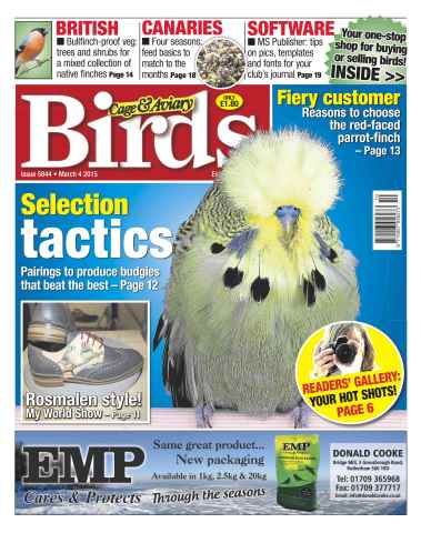 Cage & Aviary Birds issue No.5844 Selection Tactics